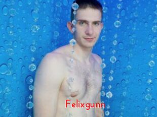 Felixgunn