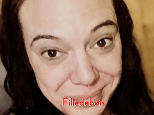 Filledebois