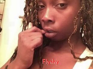 Flyshy