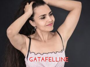 GATAFELLINE