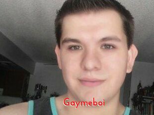 Gaymeboi