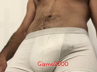 Gizmo2000