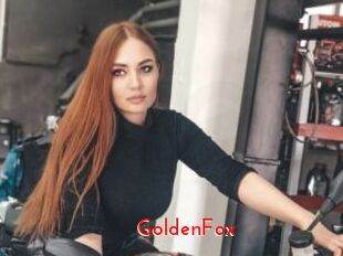 GoldenFox