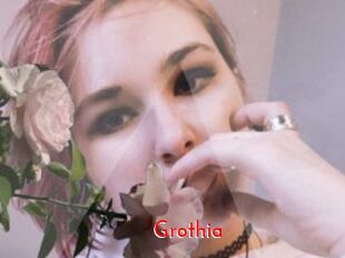 Grothia