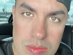 Gatoccc