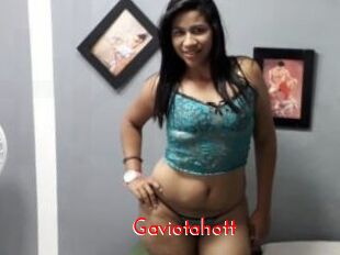 Gaviotahott