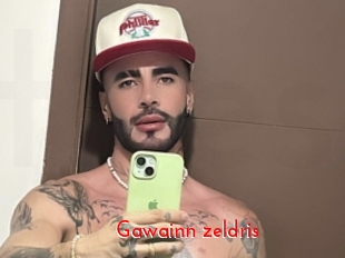 Gawainn_zeldris