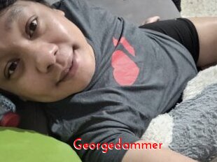 Georgedammer