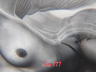 Gia_777