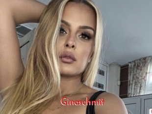 Ginaschmit