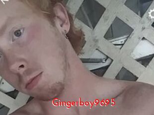 Gingerboy9695