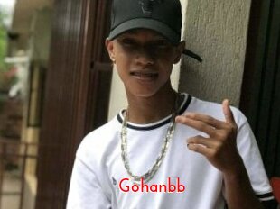 Gohanbb