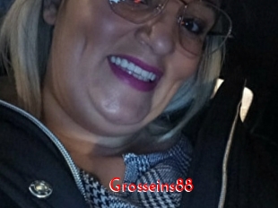Grosseins88