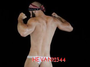 HEVAN12344
