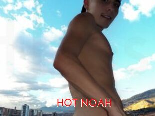 HOT_NOAH