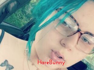 HareBunny