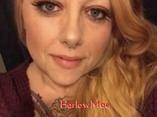 HarlowMae