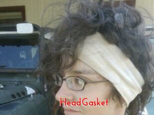 HeadGasket
