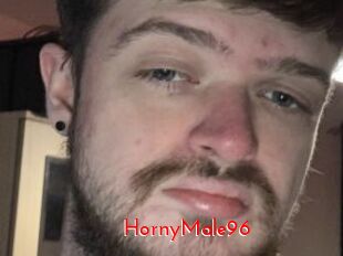 HornyMale96