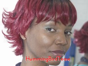 HummingBirdTease