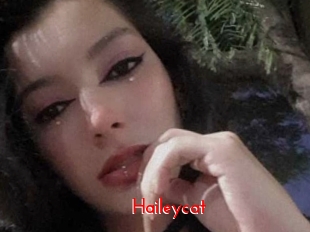 Haileycat