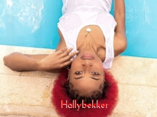 Hallybekker