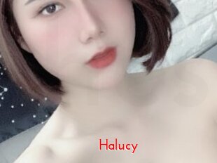 Halucy