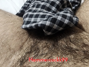 Hammercockk99