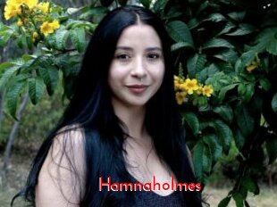Hamnaholmes