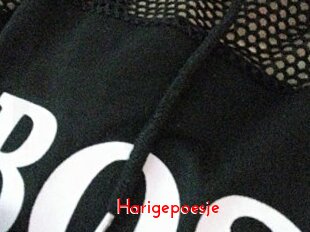 Harigepoesje