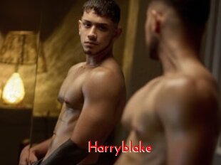 Harryblake