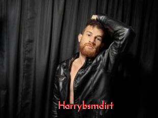 Harrybsmdirt