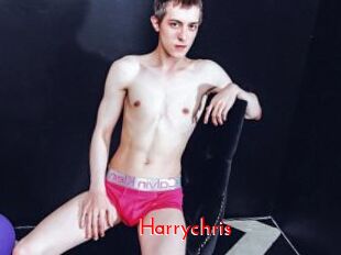 harrychris The Sex