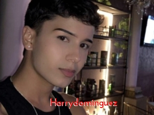 Harrydominguez