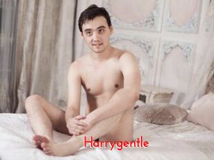 Harrygentle