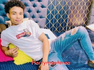 Harrymontanaa