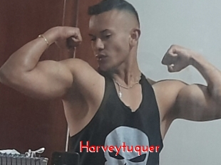Harveytuquer