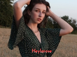 Heylarose