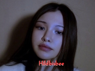 Hildbisbee