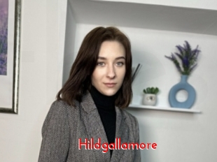 Hildgallamore