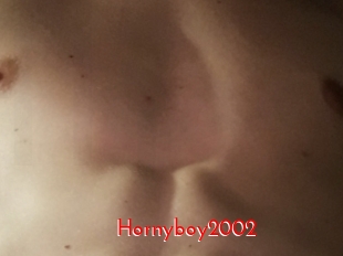 Hornyboy2002