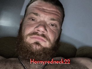 Hornyredneck22