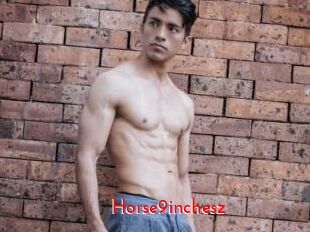 Horse9inchesz