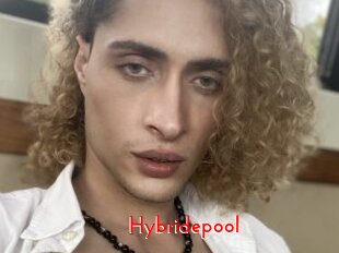 Hybridepool
