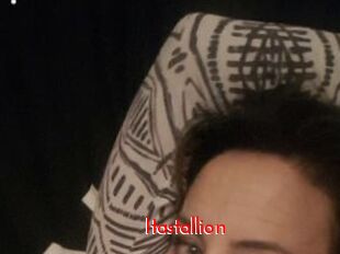 Itastallion