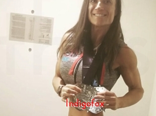 Indigofox