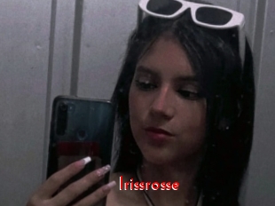 Irissrosse