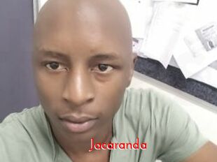 Jacaranda