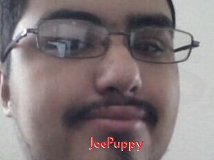 JoePuppy
