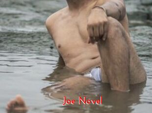 Joe_Novel